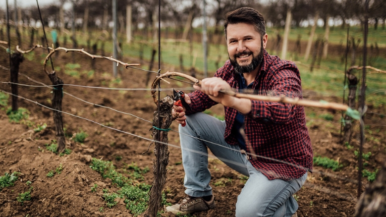 Screenshot 2026-03-20 at 14-00-36 Jan Stávek justWINE